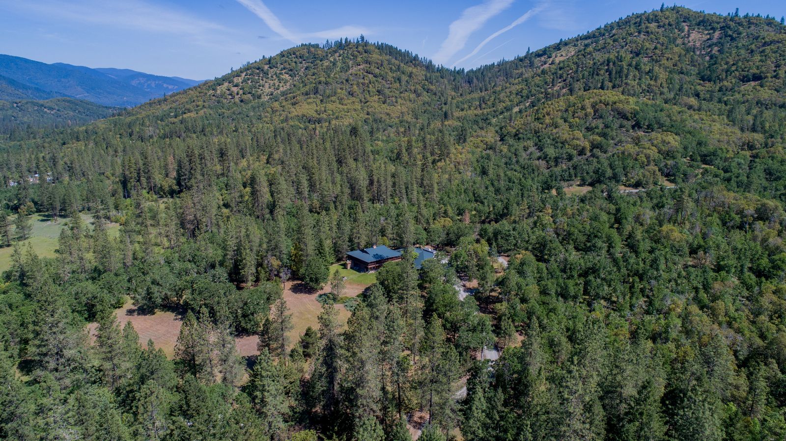 A home tucked into a forest of evergreen trees on a hillside, seen from above