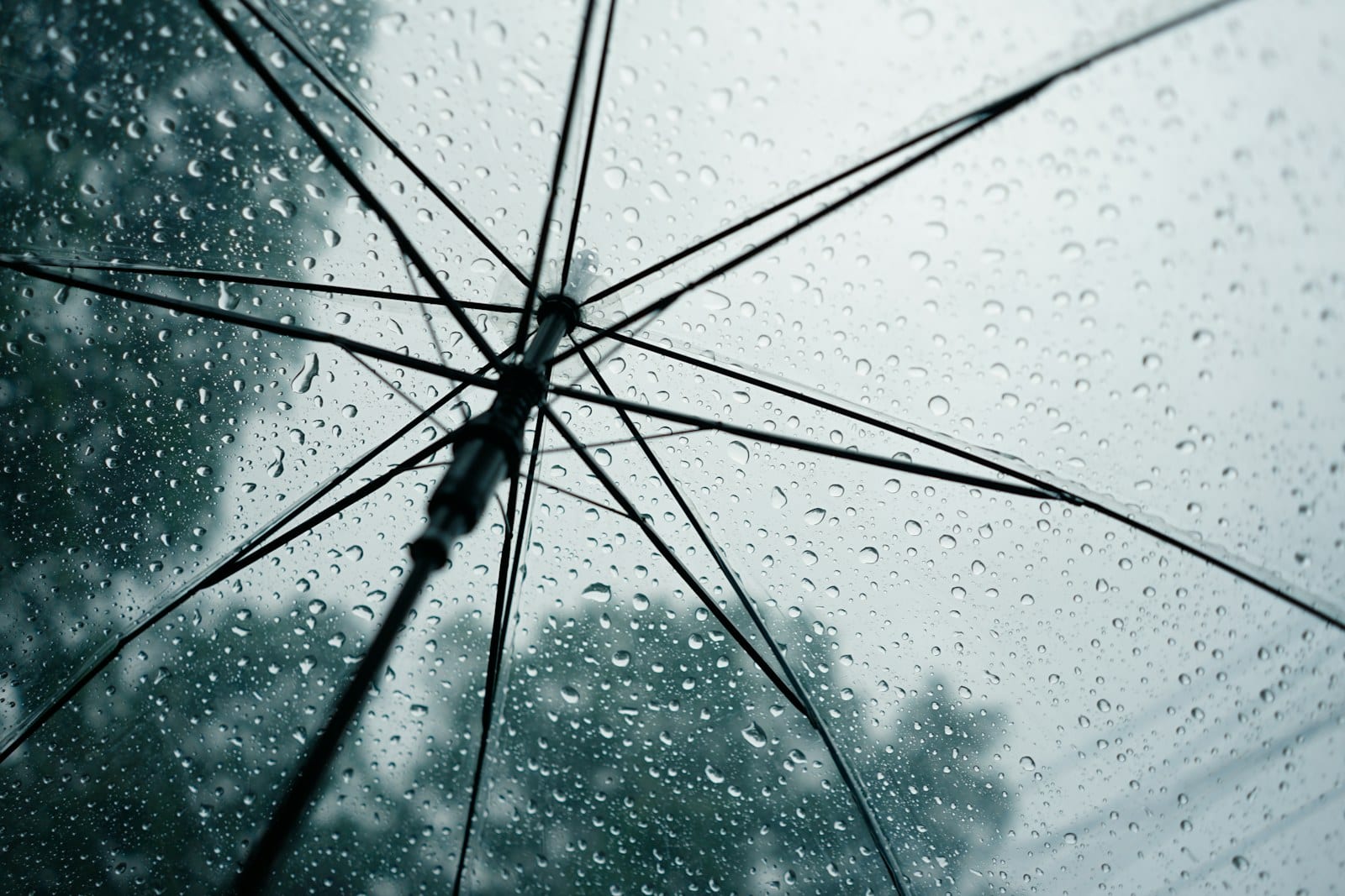 Raindrops on a clear umbrella, seen from underneath